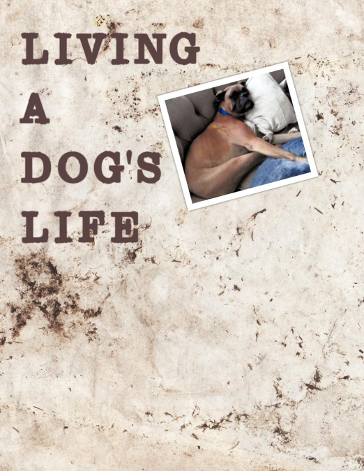 Living A Dog’s Life