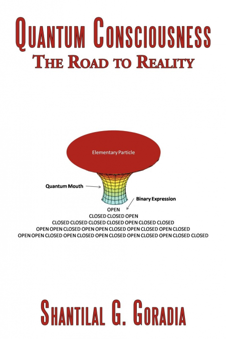 Quantum Consciousness