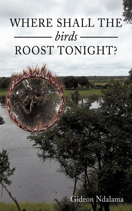 Where Shall the Birds Roost Tonight?