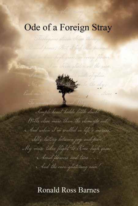 Ode of a Foreign Stray