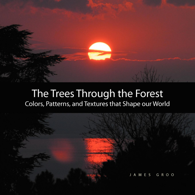 The Trees Through the Forest