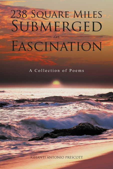238 Square Miles Submerged in Fascination