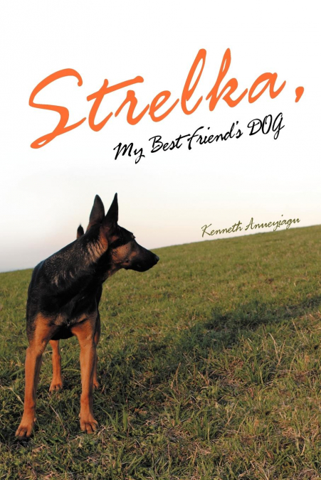 Strelka, My Best Friend’s Dog