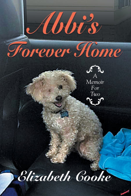 Abbi’S Forever Home