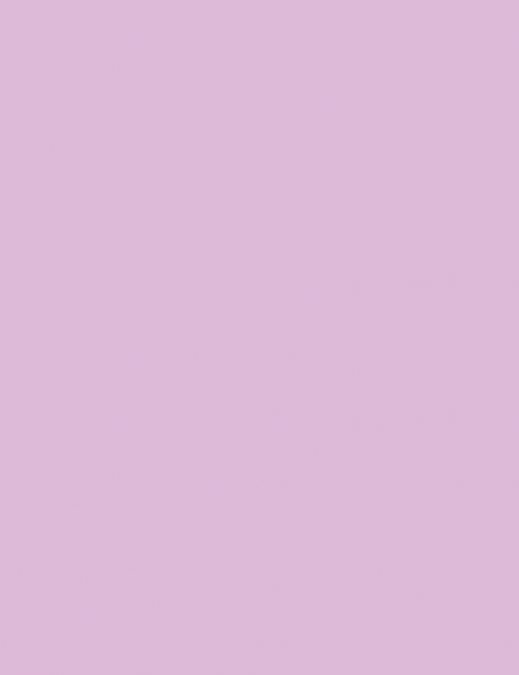 OK Soft Purple with Green Studio Note Book