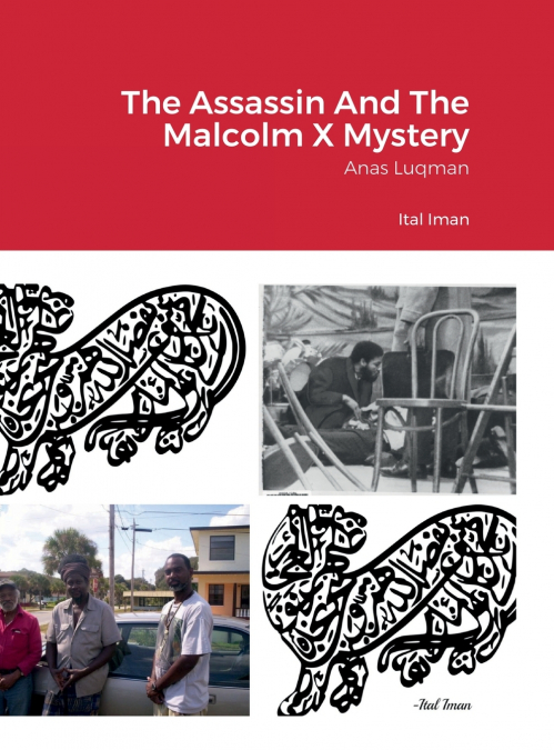 The Assassin And The Malcolm X Mystery