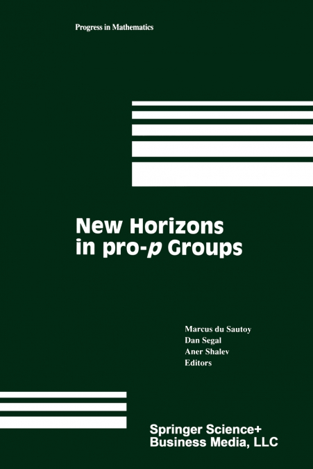 New Horizons in pro-p Groups