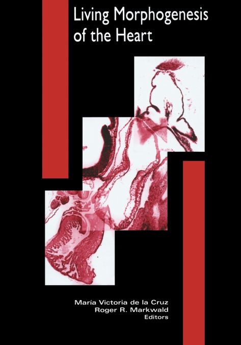 Living Morphogenesis of the Heart