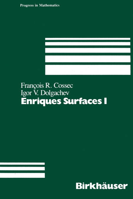Enriques Surfaces I