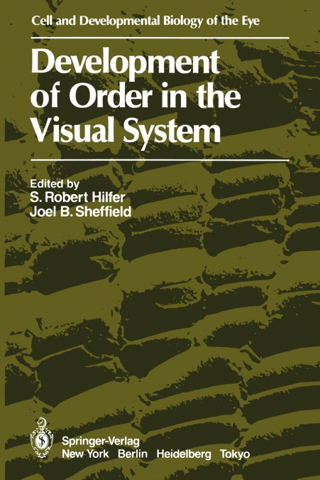 Development of Order in the Visual System