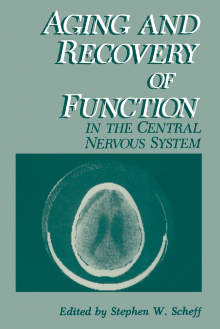 Aging and Recovery of Function in the Central Nervous System