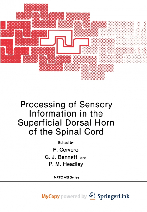 Processing of Sensory Information in the Superficial Dorsal Horn of the Spinal Cord