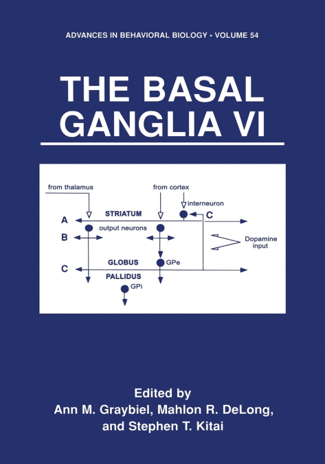 The Basal Ganglia VI