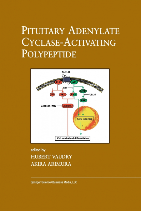 Pituitary Adenylate Cyclase-Activating Polypeptide