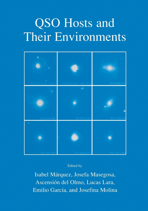 QSO Hosts and Their Environments