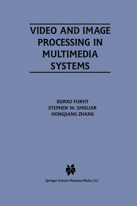 Video and Image Processing in Multimedia Systems