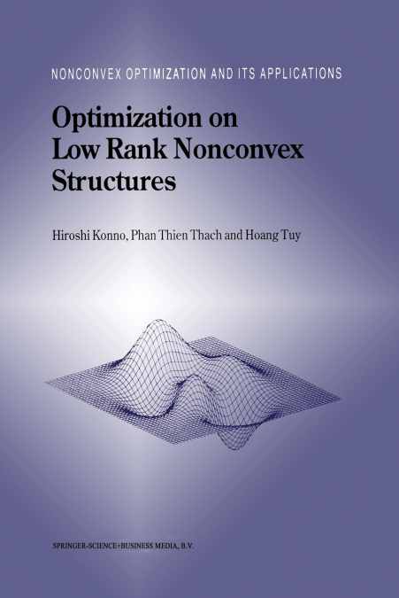 Optimization on Low Rank Nonconvex Structures