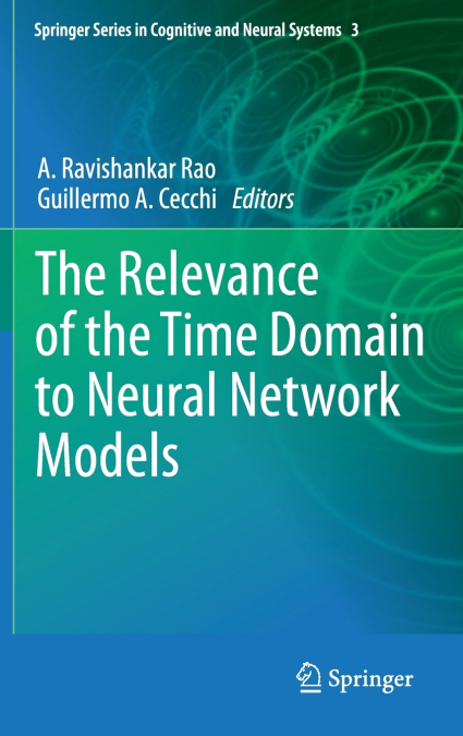 The Relevance of the Time Domain to Neural Network Models