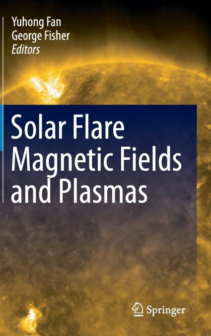 Solar Flare Magnetic Fields and Plasmas