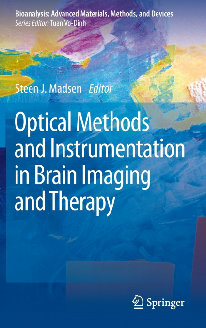 Optical Methods and Instrumentation in Brain Imaging and Therapy