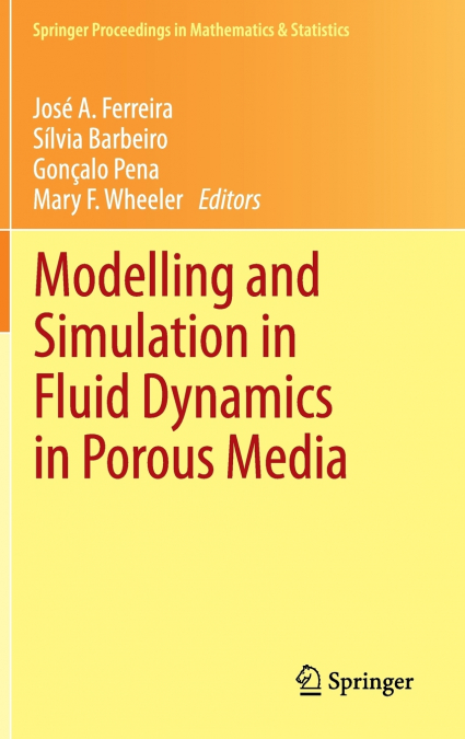 Modelling and Simulation in Fluid Dynamics in Porous Media