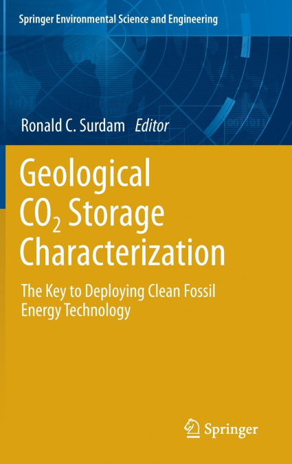 Geological CO2 Storage Characterization