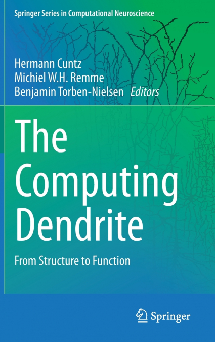 The Computing Dendrite