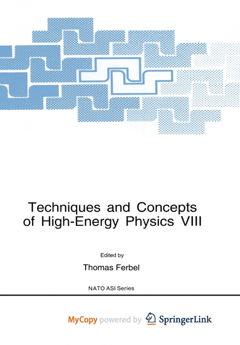 Techniques and Concepts of High-Energy Physics VIII