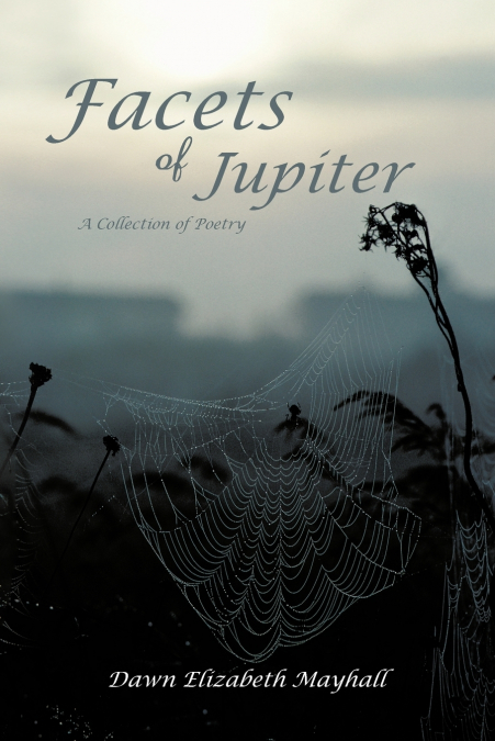 Facets of Jupiter