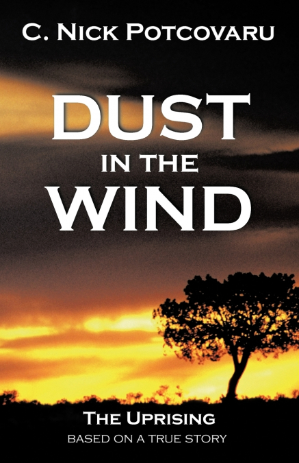 Dust in the Wind