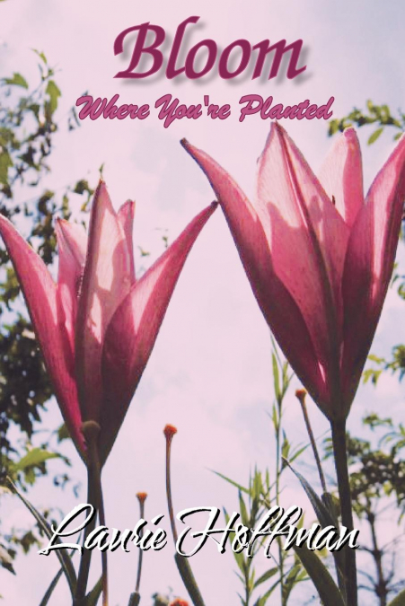 Bloom Where You’re Planted