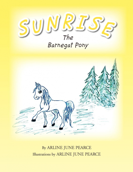Sunrise the Barnegat Pony
