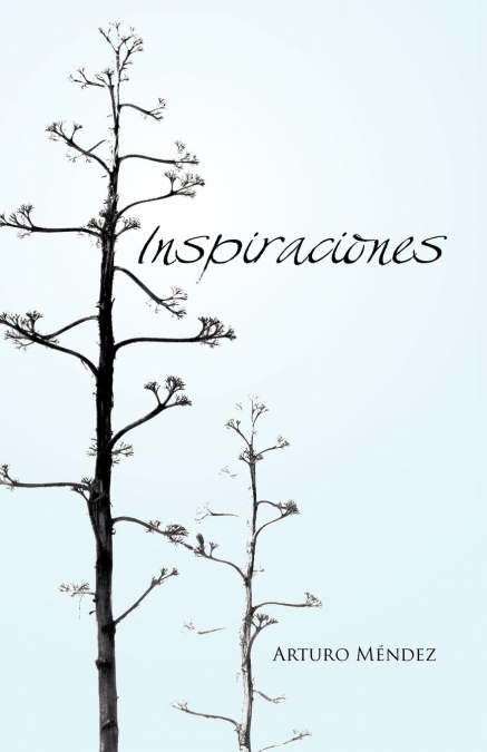 Inspiraciones