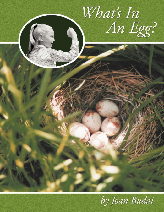 What’s In An Egg?