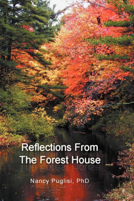 Reflections  from The Forest House