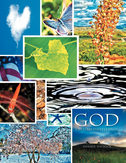God Created Everything!