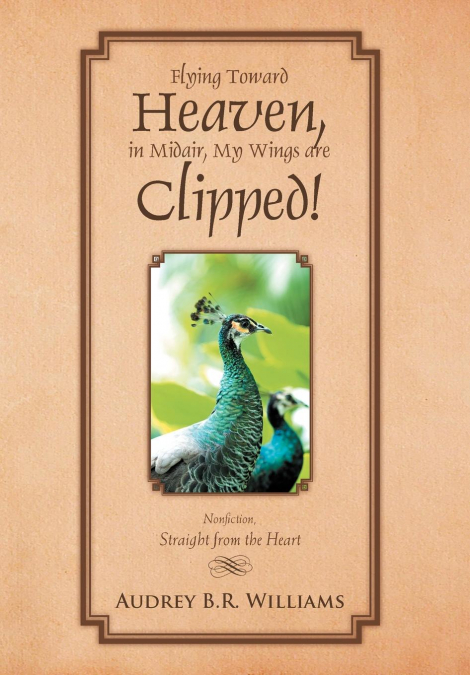 Flying Toward Heaven, in Midair, My Wings are Clipped!