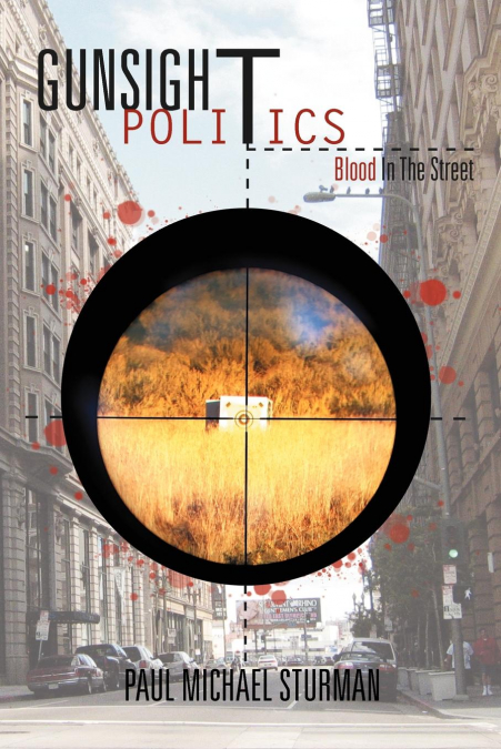 Gunsight Politics