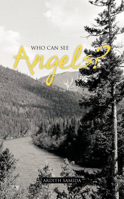 Who Can See Angels?