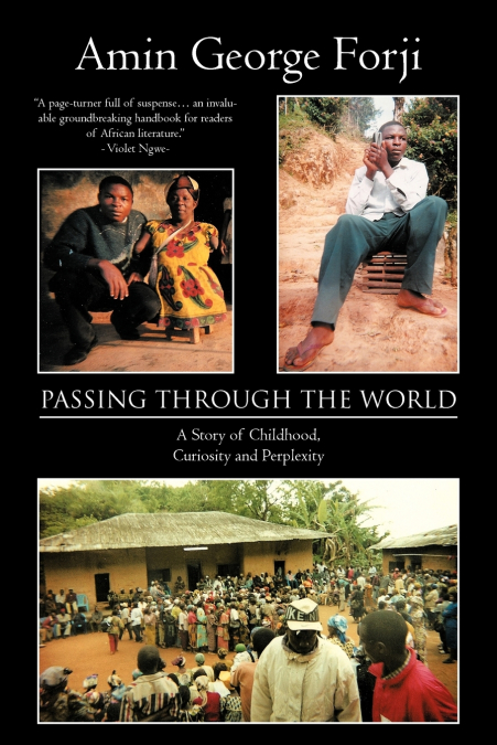 Passing Through the World