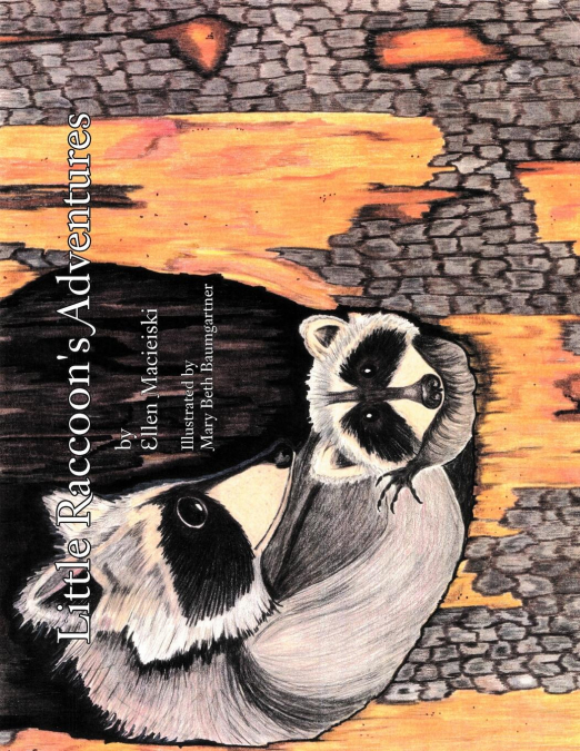 Little Raccoon’s Adventures