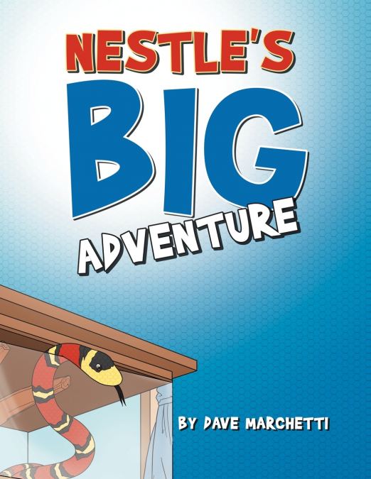 Nestle’s Big Adventure