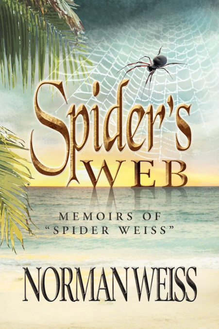 Spider’s Web