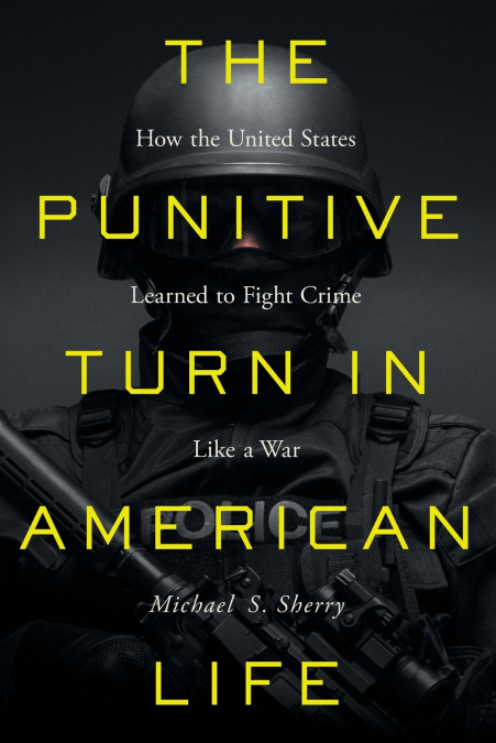 The Punitive Turn in American Life