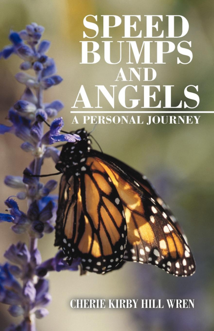 Speed Bumps and Angels