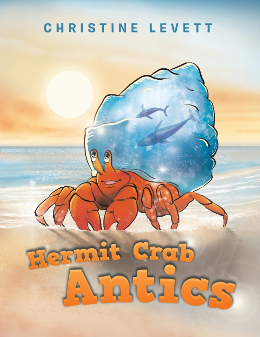 Hermit Crab Antics