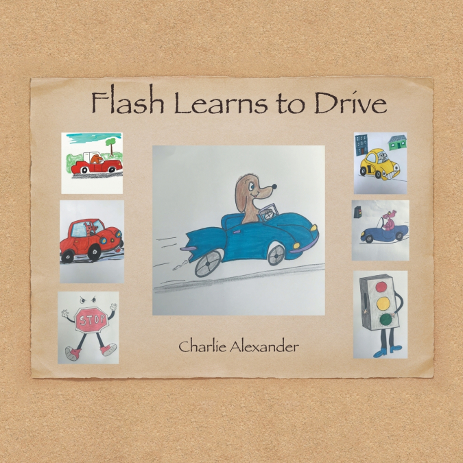 Flash Learns to Drive