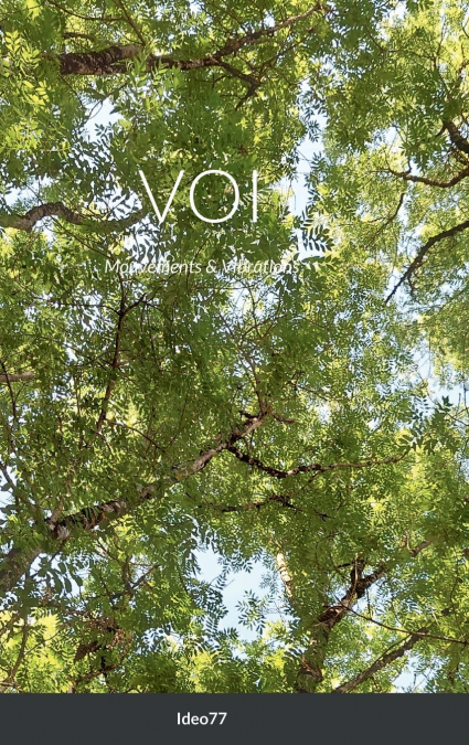 VOI
