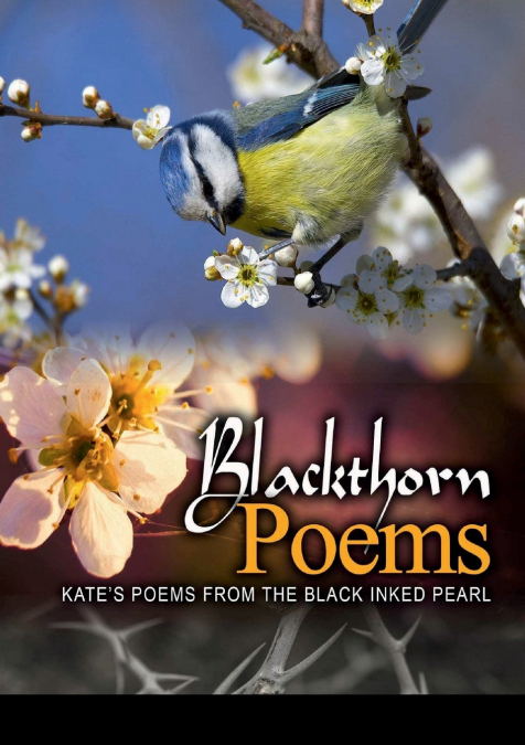 Blackthorn poems