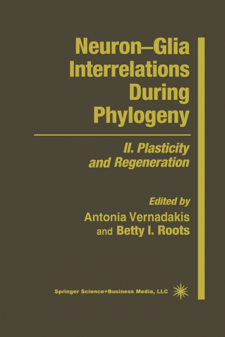 Neuron-Glia Interrelations During Phylogeny